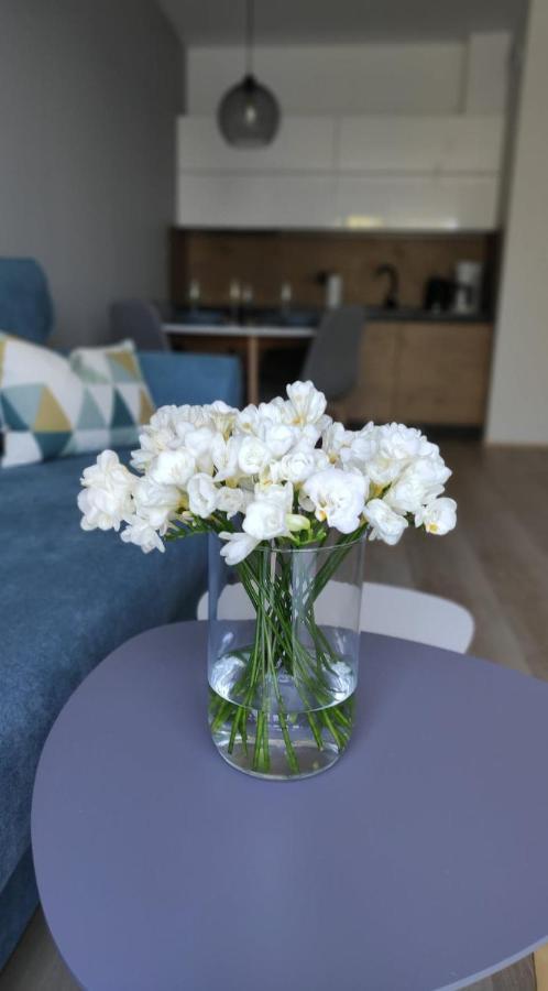 Apartament Kameleon Dźwirzyno Dış mekan fotoğraf